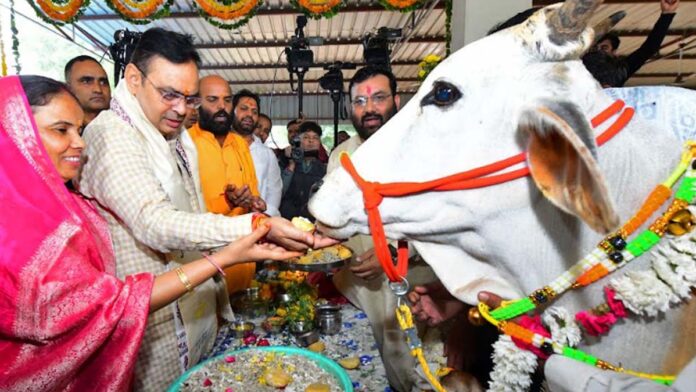 Gopashtami Festival in Gaushala Gopashtami Festival in Gaushala