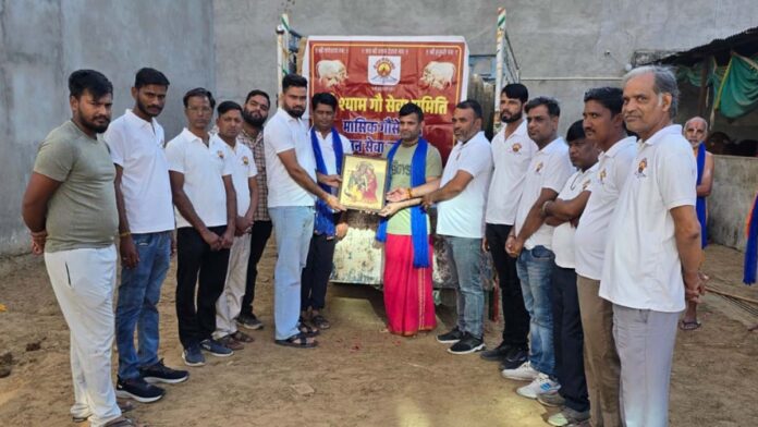 Donated green fodder to cows on Kartik Chhath