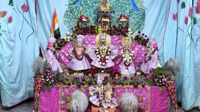 Five-day online workshop concludes