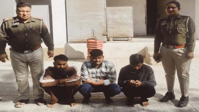 Those involved in burglaries and vehicle thefts, as well as those who purchased the stolen goods, have been arrested.