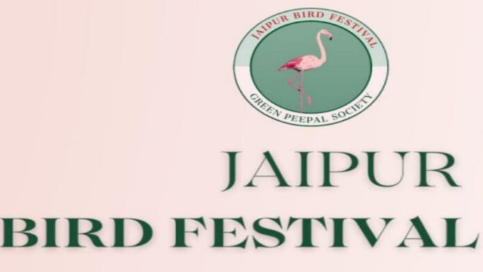 The Jaipur Bird Festival will introduce you to the colorful world of birds.