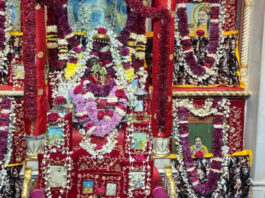 छठी महोत्सव पर ठाकुरजी को रिझाया On the sixth day of the festival, offerings were made to please Lord Krishna.