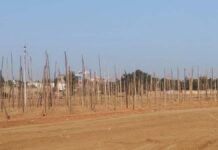 नींदड़ में हनुमंत महायज्ञ की तैयारियां परवान पर, कार्यालय का उद्घाटन आज