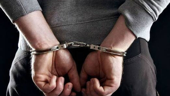 The cunning suspect who stole the idol from the ancient temple has been arrested.