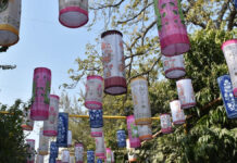 आज से जयपुर लिटरेचर फेस्टिवल का होगा आगाज: 500 से अधिक साहित्यकार होंगे शामिल