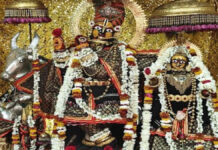 मौनी अमावस्या पर ठाकुरजी ने धारण की काली पोशाक