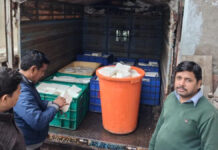 खाद्य सुरक्षा अधिकारियों ने 700 किलो मिलावटी पनीर पकड़ कराया नष्ट