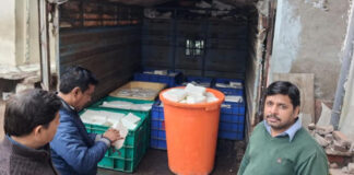 खाद्य सुरक्षा अधिकारियों ने 700 किलो मिलावटी पनीर पकड़ कराया नष्ट