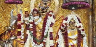 गोविंद देवजी मंदिर में श्रृंगार झांकी के बाद श्रीजी के सन्मुख होगा सरस्वती पूजन govind dev