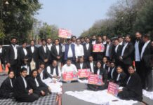 डॉ. सोनदेव बंसल की गिरफ्तारी की मांग पर वकीलों का धरना जारी