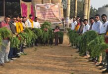 भौमवती अमावस्या पर श्री श्याम गौसेवा परिवार समिति ने गायों की सेवा में किया हरा चारा दान On Bhaumvati Amavasya, Shri Shyam Gauseva Parivar Samiti donated green fodder for the service of cows.