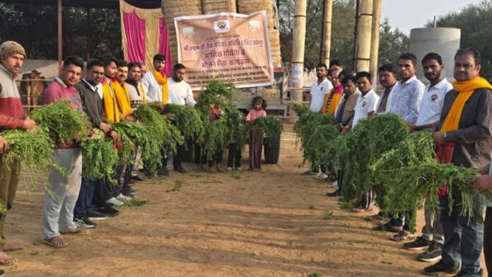On Bhaumvati Amavasya, Shri Shyam Gauseva Parivar Samiti donated green fodder for the service of cows. On Bhaumvati Amavasya, Shri Shyam Gauseva Parivar Samiti donated green fodder for the service of cows.