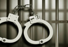 दो कार्टूनों में भरे 42 कबूतरों जब्त कर किए तीन तस्करों को गिरफ्तार