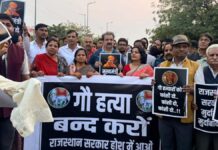 गौ हत्या के विरोध में सैकड़ों लोगों ने गौ रक्षा यात्रा निकाल किया राजस्थान सरकार का पुतला दहन Hundreds of people took out a cow protection march to protest against cow slaughter and burnt an effigy of the Rajasthan government.