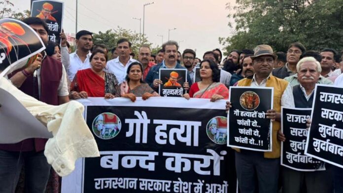 Hundreds of people took out a cow protection march to protest against cow slaughter and burnt an effigy of the Rajasthan government.