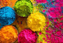 भद्रा और चंद्र ग्रहण का योग:होली पर रहेगी भद्रा भूलोक और सिंह राशि में, 3 मार्च को शाम 6 बजे बाद दिखेगा ब्लड मून