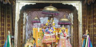 गोविंद देव जी मंदिर में फागोत्सव में बिखरी ब्रज की छटा