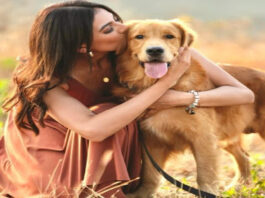 काशिका कपूर ने 15 आवारा कुत्तों को गोद लिया