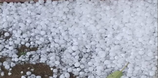 पश्चिमी विक्षोभ का असर: प्रदेशभर में बारिश–ओलावृष्टि