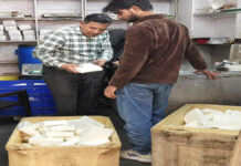 मिलावटी पनीर का भंडाफोड़, 650 किलो जब्त कर किया नष्ट