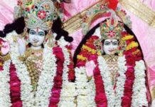 श्री राधा मोहन जी मंदिर में फागोत्सव मनाया