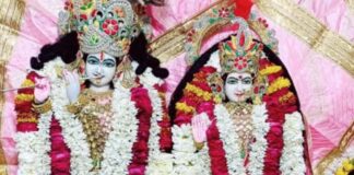 श्री राधा मोहन जी मंदिर में फागोत्सव मनाया