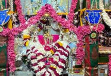 श्री सरस निकुंज में फाल्गुनी रचनाओं से लाल जू-राधा जू को रिझाया Lal Ju-Radha Ju were wooed with Phalguni compositions at Shri Saras Nikunj.