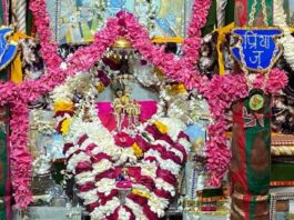 श्री सरस निकुंज में श्रीमद्भागवत कथा कल से Lal Ju-Radha Ju were wooed with Phalguni compositions at Shri Saras Nikunj.