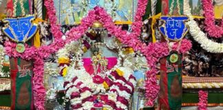 श्री सरस निकुंज में फाल्गुनी रचनाओं से लाल जू-राधा जू को रिझाया Lal Ju-Radha Ju were wooed with Phalguni compositions at Shri Saras Nikunj.