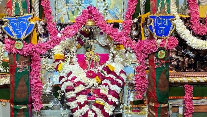 Lal Ju-Radha Ju were wooed with Phalguni compositions at Shri Saras Nikunj.