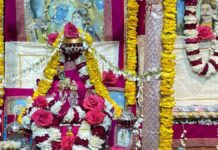 रंगभरी ग्यारस: ठाकुरजी को अर्पित गुलाल का मिला प्रसाद
