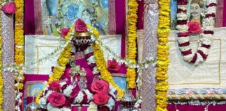 रंगभरी ग्यारस: ठाकुरजी को अर्पित गुलाल का मिला प्रसाद