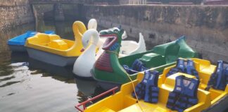 आमेर मावठा सरोवर फिर होगा गुलजार: 22 फरवरी से पर्यटकों के लिए शुरू होगी नाव सेवा Amer Mawtha lake will be buzzing again