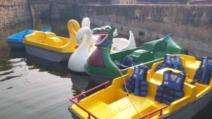 Amer Mawtha lake will be buzzing again Amer Mawtha lake will be buzzing again