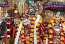 गोविंद देवजी मंदिर में निशुल्क गायत्री महायज्ञ रविवार को A free Gayatri Mahayagya will be held at Govind Devji Temple on Sunday.