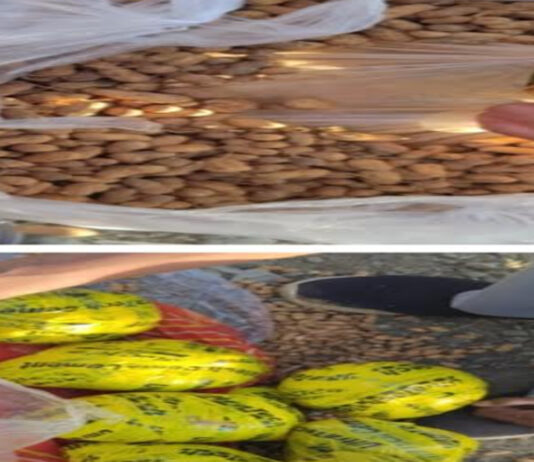 मूंगफली की बोरियों में छिपाकर ले जा रहे थे अफीम, 14.3 किलो बरामद Opium was being transported hidden in peanut sacks.