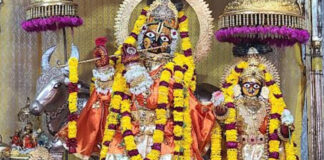 कामदा एकादशी के व्रत पर श्रीहरि विष्णु की होगी पूजा On the fast of Kamada Ekadashi, Lord Hari Vishnu will be worshipped.