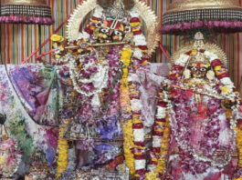 श्री गोविंददेवजी मंदिर में रंगों की बौछार: ठाकुरजी संग भक्तों ने खेली फूलों की होली Splash of colours at Shri Govinddevji Temple