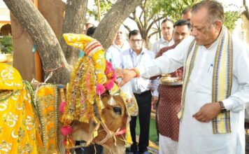 पशुपालन मंत्री जोराराम कुमावत ने किया एफएमडी रोग प्रतिरोधक टीकाकरण अभियान का शुभारंभ Animal Husbandry Minister Joraram Kumawat launched FMD vaccination campaign