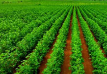 जयपुर में फार्म से फॉर्च्यून तक अखिल भारतीय महासम्मेलन का आयोजन