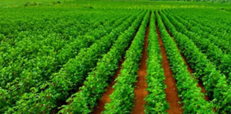 जयपुर में फार्म से फॉर्च्यून तक अखिल भारतीय महासम्मेलन का आयोजन