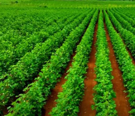 जयपुर में फार्म से फॉर्च्यून तक अखिल भारतीय महासम्मेलन का आयोजन