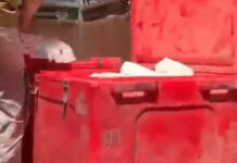 मिलावटी पनीर को बाजार में असली बताकर बेचा जा रहा था: 700 किलो से अधिक नकली पनीर बरामद