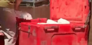 मिलावटी पनीर को बाजार में असली बताकर बेचा जा रहा था: 700 किलो से अधिक नकली पनीर बरामद