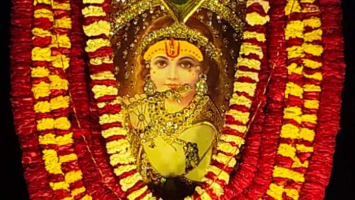 Shringar Jhanki of flower bungalow decorated in Shri Shyam Bhajan Utsav