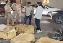 जयपुर में मिलावटखोरों पर बड़ा शिकंजा: नकली पनीर-घी सहित मिर्च पाउडर जब्त Major Crackdown on Adulterators in Jaipur