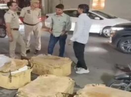 जयपुर में मिलावटखोरों पर बड़ा शिकंजा: नकली पनीर-घी सहित मिर्च पाउडर जब्त Major Crackdown on Adulterators in Jaipur