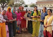 1000 महिलाओं को मिला रोजगार: होलिका दहन के लिए गोबर की लकड़ी बना रही नई पहचान 1000 women got employment