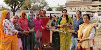 1000 महिलाओं को मिला रोजगार: होलिका दहन के लिए गोबर की लकड़ी बना रही नई पहचान 1000 women got employment