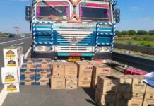 ऑपरेशन एंटी वेनम अभियान : 65 कार्टन अवैध शराब के साथ तस्कर गिरफ्तार